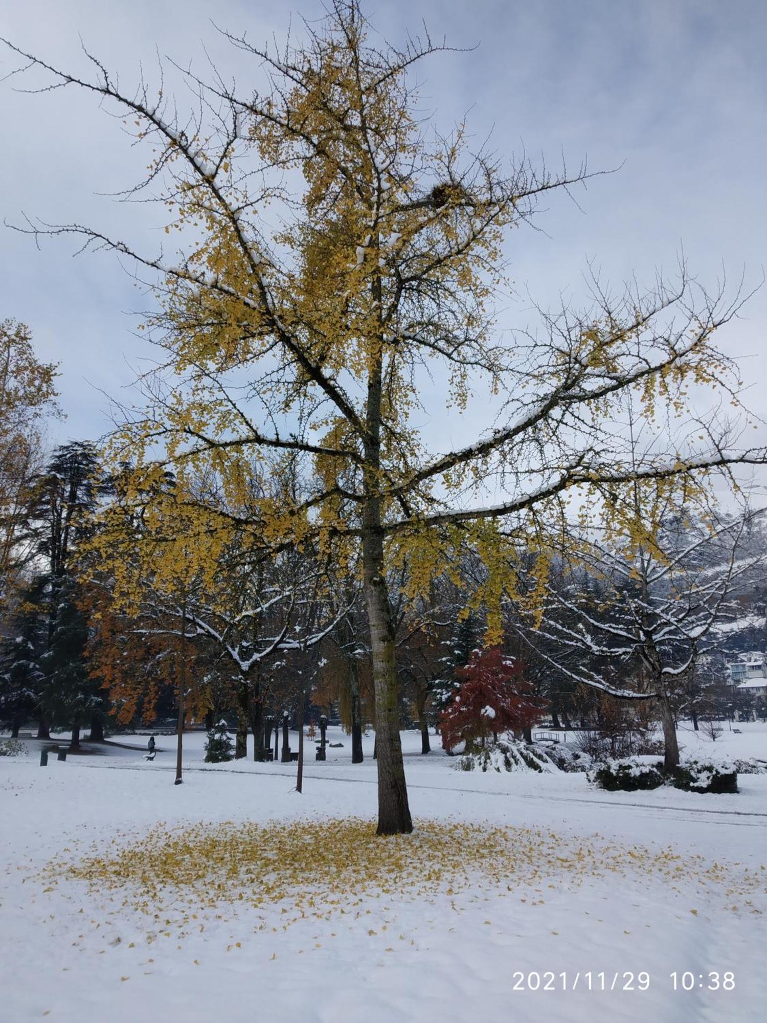 Le Balcon Du Parc, Entre Lourdes Et Gavarnie Argelès-Gazost Kültér fotó
